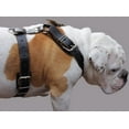 thumbnail image 3 of Black Genuine Leather Dog Harness. 28"-34" Chest, 1.5" Wide Straps, Rottweiler, Bulldog, 3 of 3