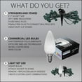 thumbnail image 6 of Wintergreen Lighting C9 Cool White OptiCore Smooth LED Christmas Pathway Light Kit, 100 Lights, 12" Spacing, Green Wire, 100 ft, 6 of 8