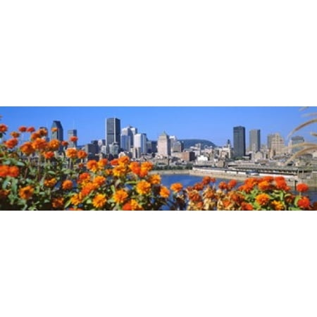 Blooming flowers with city skyline in the background Montreal Quebec Canada 2010 Poster