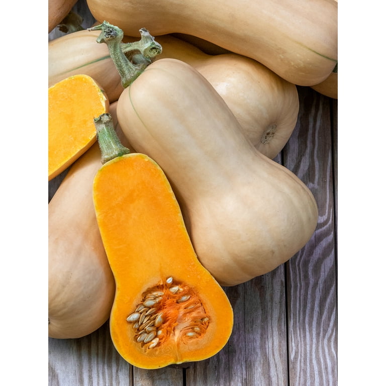 Burpee Waltham Butternut Winter Squash, Annual Vegetable Seed - Main Image
