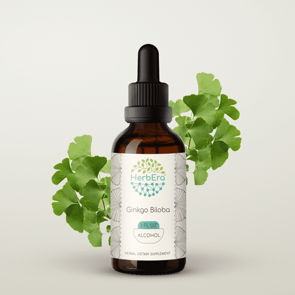 Ginkgo Biloba Alcohol Herbal Extract Tincture, Super-Concentrated Organic Ginkgo Biloba (Ginkgo Biloba) Dried Leaf 2 oz