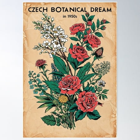 Czechia, Czech Republic, 1950S Poster Wall Art, Modern Wall Decor For Living Room Bedroom, 8x12 UNFRAMED
