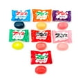 Zotz Fizz Power Assorted Fruit Hard Candy 1 Pound Pack GlutenFree