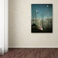 thumbnail image 3 of Trademark Fine Art 'Rousseau-Carnival' Canvas Art by Ed Wheeler, 3 of 3