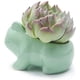 thumbnail image 2 of 3 uds DIY lindo dibujos animados maceta de cerámica arte maceta de cerámica decoración Animal verde modelado arte florero de rana, 2 of 4