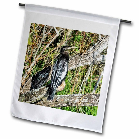 3dRose, Florida Anhinga bird waiting for food and watching for gators , 18 x 27 inch Garden Flag