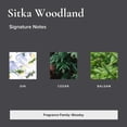 thumbnail image 4 of Spray corporal BROKEN TOP Sitka Woodland 120 ml, 4 of 6