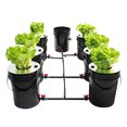 DWC 5 Gallons 6 Buckets Hydroponics Growing System Recirculating