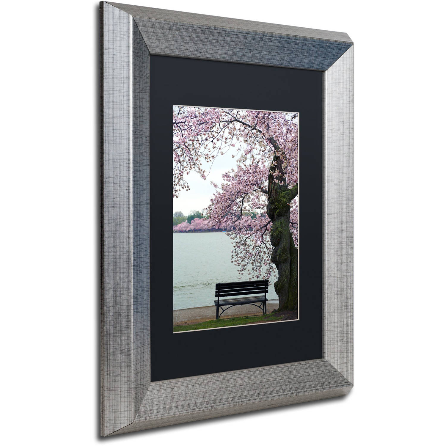 Trademark Fine Art "Tranquility" Canvas Art by CATeyes, Black Matte, Silver Frame
