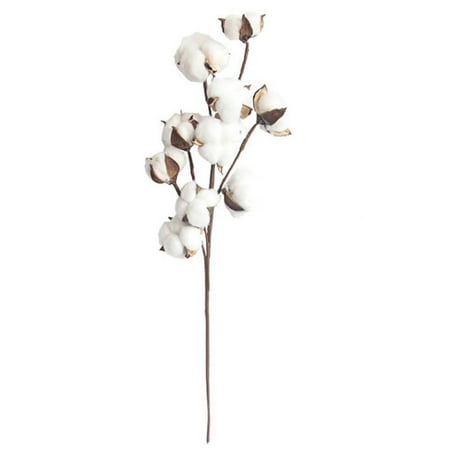 21-Inch Natural White Cotton Stem Flowers Cotton Boll Branches Farmhouse Rustic Style Vase Display Filler Floral Wedding Centerpiece (Best Branches To Use For Centerpieces)