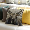 thumbnail image 3 of BANET Decorative Throw Pillow Cover for Sofa, Perfect Housewarming Gift for Family Room Décor, 3 of 5