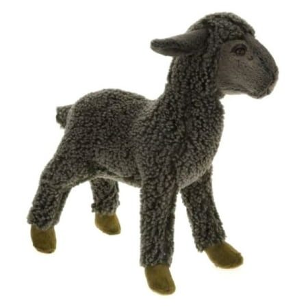 hansa sheep