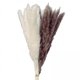 thumbnail image 1 of 2x 15 Piezas de Hierba de Pampa Seca Natural - Plumas de Caña de 17.7 Pulgadas, Ramo de Flores Secas Arreglos Boho Hogar Boda Cocina Oficina Decoració Sunnimix Hierba de pampa seca, 1 of 8