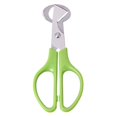 thumbnail image 2 of NETSENG Quail Egg Scissors, Stainless Steel Quail Egg Scissors, Small Egg Scissors, Quail Egg Opening Scissors, Stainless Steel Egg(2pcs, Green), 2 of 5
