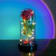 thumbnail image 4 of Flor de lámina de oro de 24K, 2023 LED, Galaxia encantada, Rosa eterna, cadena de luces de hadas en cúpula para regalo de Navidad y Día de San Valentín, 4 of 4