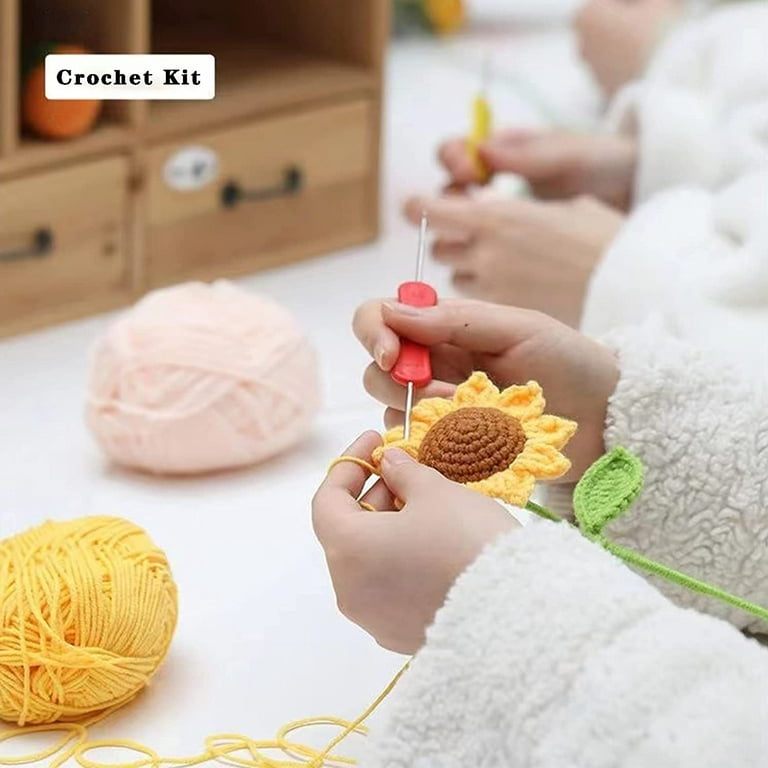 Chainplus Crochet Kit for Beginners, 6 Pcs Potted Flowers DIY Kit for  Adults and Kids, Crochet Starter Knitting Kit for Complete Beginners,Pink 