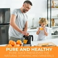 thumbnail image 2 of Pohl Schmitt Deco-Line Electric Citrus Juicer Machine Extractor - Large Capacity 34oz (1L) Easy-Clean, Featuring Pulp Control Technology, 2 of 6