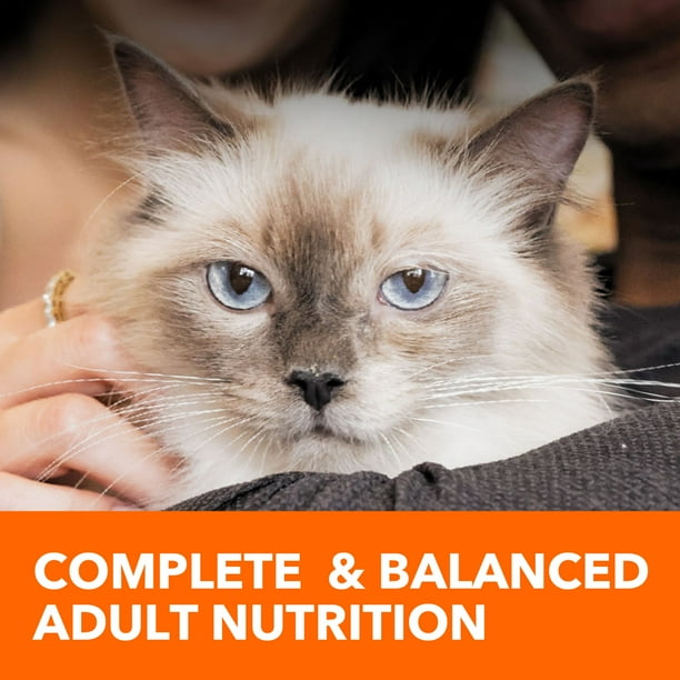 Iams Proactive Health Indoor Weight & Hairball Care Dry Cat Food, 16lb