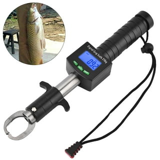 Fish Scales in Fishing Accessories