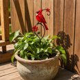 thumbnail image 4 of Metal Cardinal Garden Stake, Decorative Red Bird Yard Art Weather Resistant Garden Accent Ornament, Flower Pot Patio Lawn Decor for Garden Courtyard Porch Bird Lovers, 4 of 7