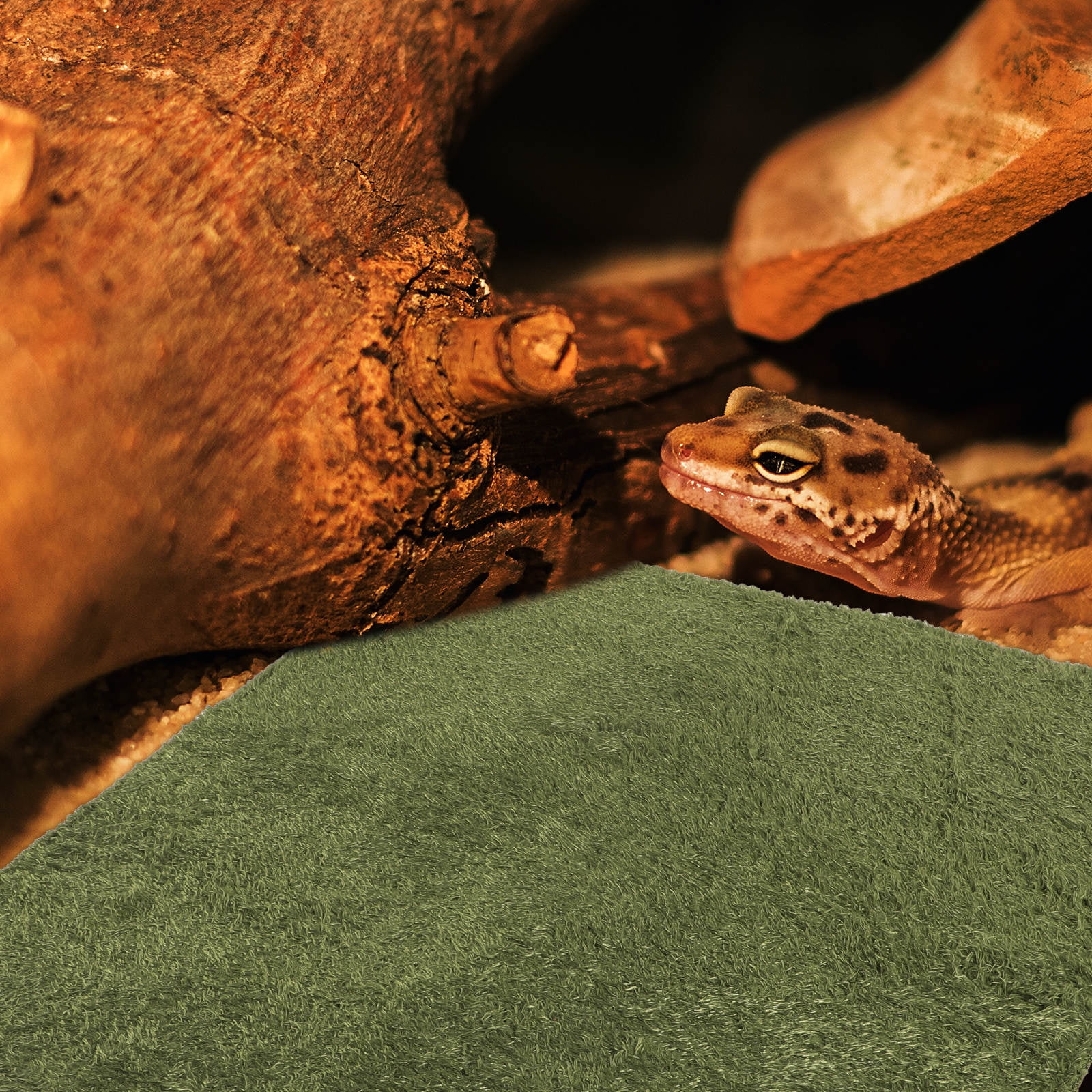 HONMEET Reusable Light Green Snake Substrate Mat for Reptile Cage Liner, Dry and Comfortable Habitat Accessory