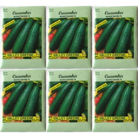Valley Greene (6 Pack) 750 mg/Package Cucumber Marketmore 76 Heirloom Variety (Best Tasting Cucumber Variety)