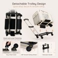 thumbnail image 2 of BELLA & PAL Airline Approved Cat Carrier with Wheels, Detachable Rolling Pet Carrier for Kitten & Small Dogs up to 16lbs, Soft-Sided Foldable Puppy Bag , 17.7"×11"×11", Cloud Dancer, 2 of 10