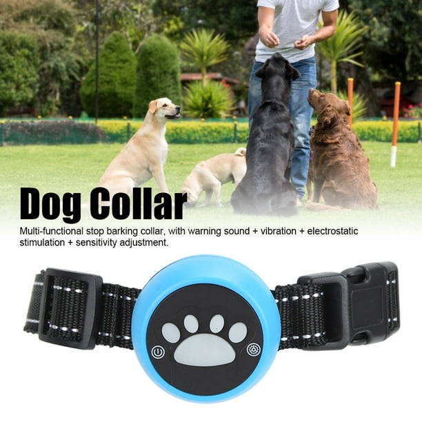 Sky dog training collar 2025