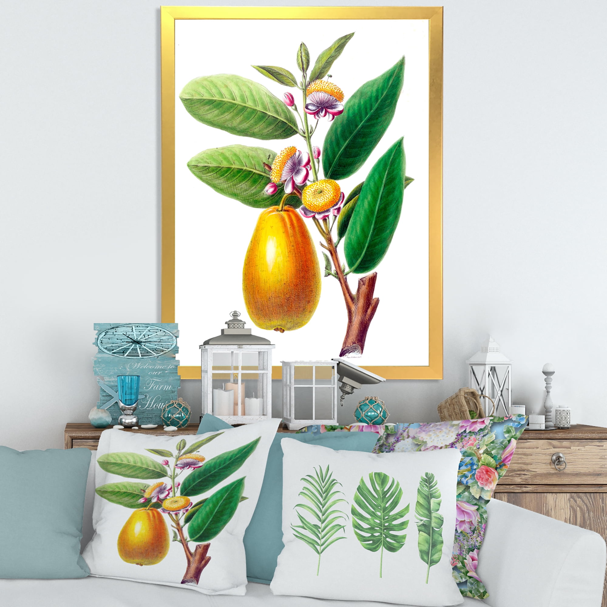 Designart 'Ancient Fruits I' Farmhouse Framed Art Print