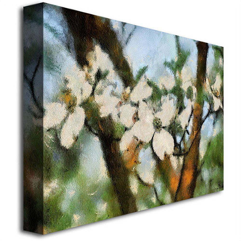 Trademark Fine Art "Dogwood Tree" Canvas Wall Art by Lois Bryan