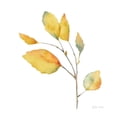 thumbnail image 3 of Coulter, Cynthia 15x15 Black Modern Framed Museum Art Print Titled - Modern Leaf Study on White II, 3 of 5
