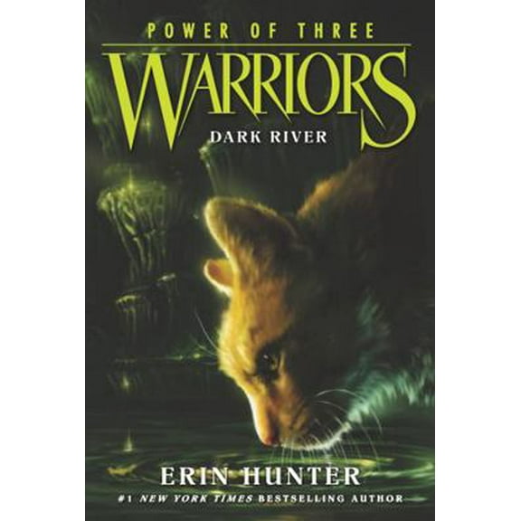 Pre-Owned Warriors: Power of Three #2: Dark River (Paperback) 0062367099 9780062367099