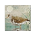 thumbnail image 2 of Trademark Fine Art "Sand Piper II" Canvas Art by Color Bakery, 2 of 4
