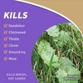 thumbnail image 4 of Bonide Captain Jack's Lawnweed Brew Herbicide Weed Killer Concentrate, 1qt, 4 of 8