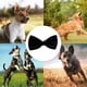 thumbnail image 5 of ? pajarita formal para perros medianos y grandes, 5 of 5