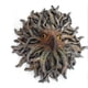 thumbnail image 3 of Estatua De Cabeza De Águila, Animales De Simulación, Artesanía De Resina, Jardín, Decoración De Árbol Al Aire Libre, Adorno Colgante Para Patio De Jardín Noticed HA036841-00, 3 of 6