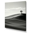 thumbnail image 2 of Designart "Desert Scenery In Black And White" Meadow Canvas Prints, 2 of 7