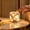 Pattern-Dual color, variant on Marble Touch Lamp Cordless, Rechargeable LED Night Light with Touch Control, Decorative Table Lamp for Bedroom, Living Room and Desk