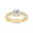 Yellow, variant on 1.80CT Princess & Round Cubic Zirconia Bridal Ring Set for Women 14K Rose Gold over Silver-10