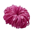thumbnail image 4 of fastboy 100 Pcs Élastiques Accessoires pour Queue de Cheval Rose Rouge 5Ensemble, 4 of 6