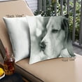 thumbnail image 1 of Ahgly Company Dogs Beagle Coussin Extérieur, 18 Pouces par 18 Pouces, 1 of 6