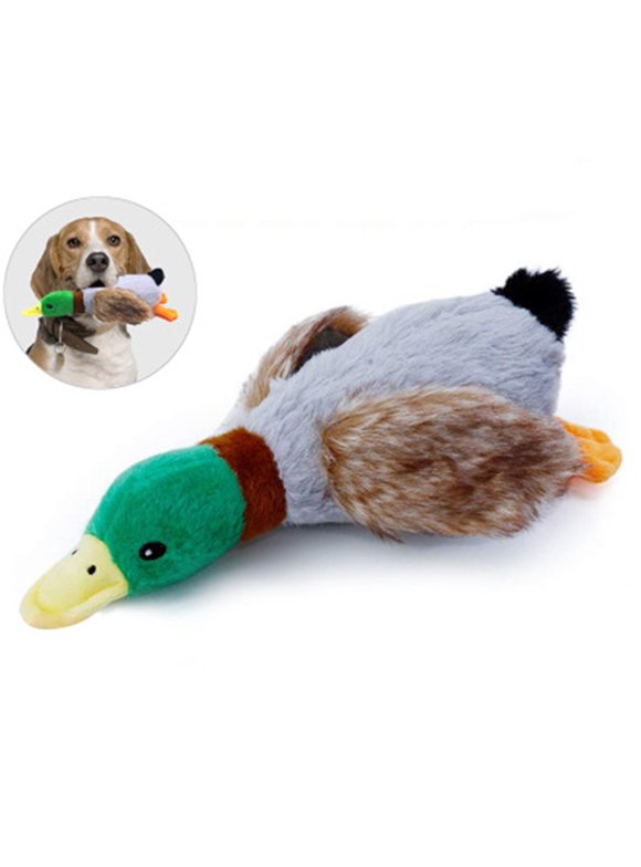 Dog Plush Toys in Dog Toys