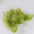 thumbnail image 2 of 450 Pieces Green Feathers for Craft Wedding Home Party Decorations, 3-5 Inches Green Craft Feathers, 2 of 7
