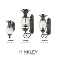 thumbnail image 6 of Hinkley Lighting - Plantation - 3 Light Medium Outdoor Wall Lantern in, 6 of 7