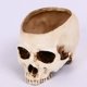 thumbnail image 3 of Calavera hueca aterradora para Halloween, maceta de resina de hollín seco, simulación de calavera, 6.75 pulgadas, estatua de calavera hueca de cerámica, maceta de resina (calavera desnuda), beige JAMW Sencillez, 3 of 5