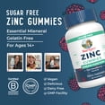 thumbnail image 4 of (2 pack) MaryRuth's Zinc Gummies Immune Support Vegan Gluten-Free 60 Count, Ages 14+, 4 of 12