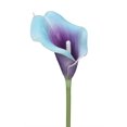 thumbnail image 2 of Bouquet Duovlo, 20 unidades, flor artificial de látex con forma de lirio de cala, decoración de fiesta en casa (morado en azul), 2 of 6