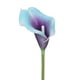 thumbnail image 2 of Bouquet Duovlo, 20 unidades, flor artificial de látex con forma de lirio de cala, decoración de fiesta en casa (morado en azul), 2 of 6