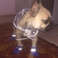thumbnail image 5 of Hyasfey 4Pcs Non-Slip Pet Dog Boots, Waterproof Soft Shoes for Home or Outdoor Use, 5 of 7