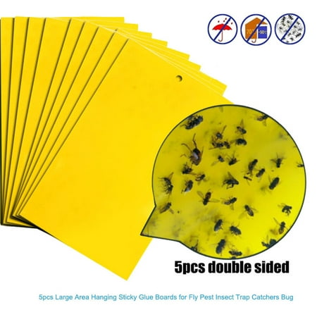 5Pcs Strong Flies Traps Bugs Sticky Board Catching Aphid Insects Pest